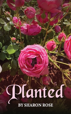 Planted - Sharon Ross