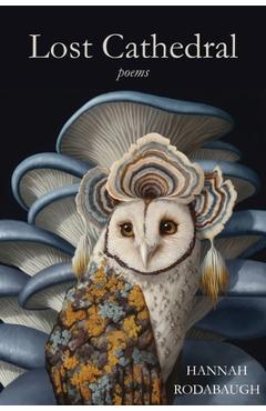 Poza produsului Lost Cathedral - Hannah Rodabaugh