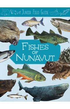 Coperta cărții 'Junior Field Guide: Fishes of Nunavut: English Edition - Jordan Hoffman'