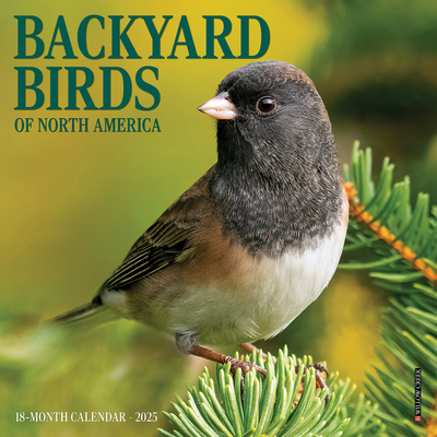 Backyard Birds 2026 7 X 7 Mini Wall Calendar -