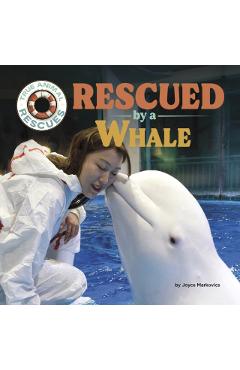 Rescued by a Whale - Joyce Markovics
