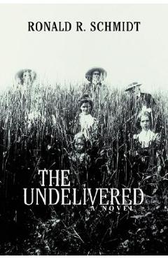 Coperta cărții 'The Undelivered - Ronald R. Schmidt'
