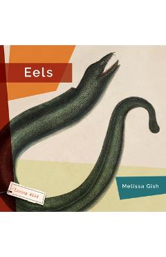 Coperta cărții 'Eels - Melissa Gish'