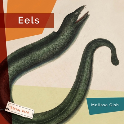 Eels - Melissa Gish