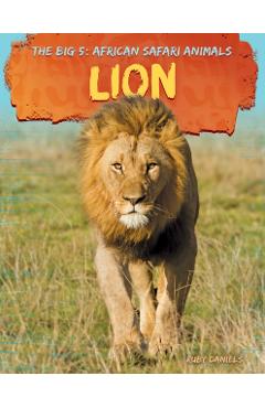 Coperta cărții 'Lion - Ruby Daniels'