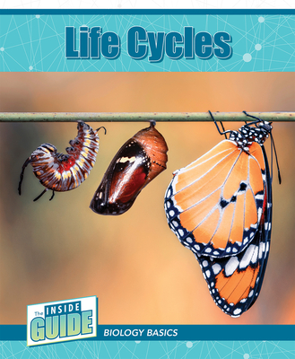 Life Cycles - Leigh Mcclure