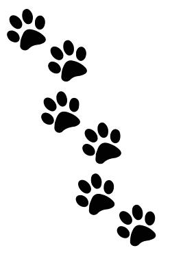 Paw Print Tracks: For Animal Lovers - Midwest Merchandise
