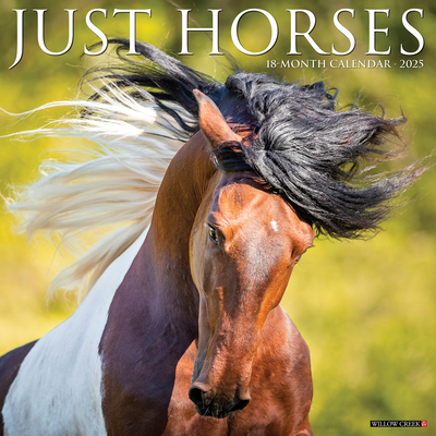 Horses 2026 12 X 12 Wall Calendar - 
