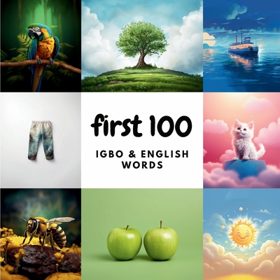 Coperta cărții 'First 100 Igbo & English Words - Ali Heidary'