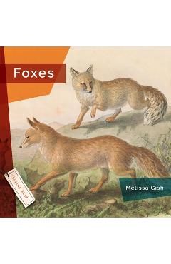Coperta cărții 'Foxes - Melissa Gish'