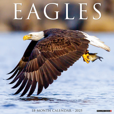 Eagles 2026 12 X 12 Wall Calendar -