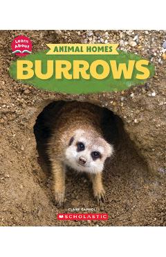 Poza produsului Burrows (Learn About: Animal Homes) - Claire Caprioli