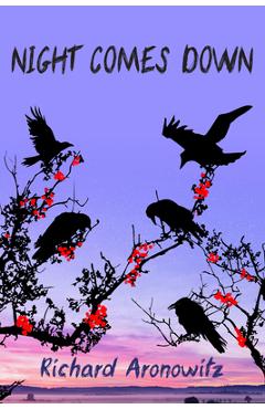 Poza produsului Night Comes Down - Richard Aronowitz