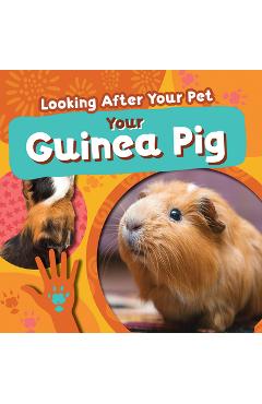 Coperta cărții 'Your Guinea Pig - Rebecca Phillips-bartlett'