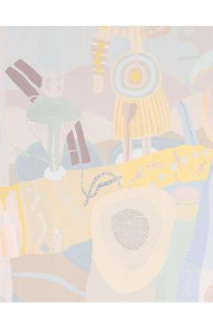 Coperta cărții 'Chaco Series: Art, Poetry, and Texts by Judy Tuwaletstiwa - Diana Gaston'