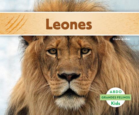 Leones (Lions) - Claire Archer