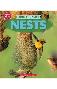 Poza produsului Nests (Learn About: Animal Homes) - Jay Leslie