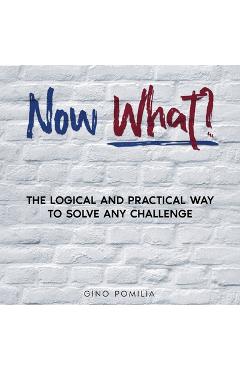 Poza produsului Now What?: The Logical and Practical Way to Solve any Challenge - Gino Pomilia