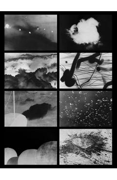 Coperta cărții 'Ooda Loops - Kalev Erickson'