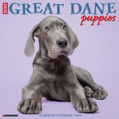 Great Dane Puppies 2026 12 X 12 Wall Calendar - 