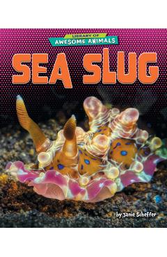 Coperta cărții 'Sea Slug - Janie Scheffer'