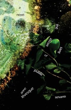 Coperta cărții 'The Secret Lives of Public Servants - Anne Lévesque'