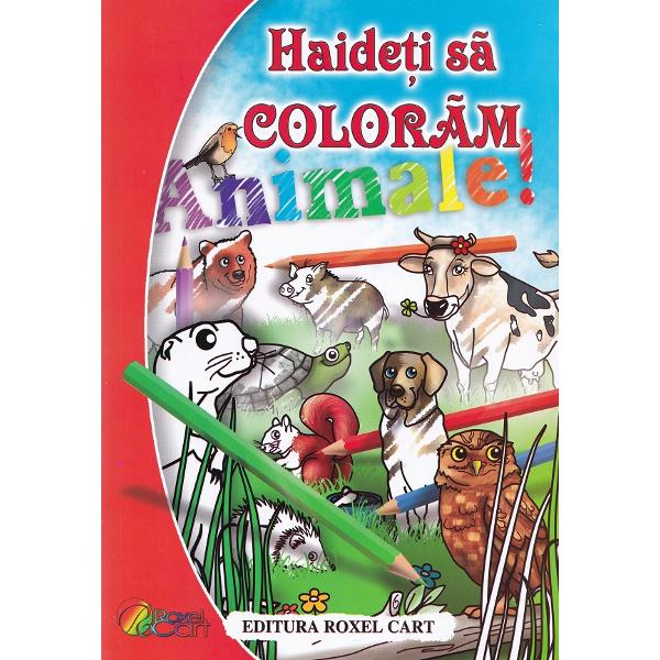 Pachet 6 carti: Haideti sa coloram!