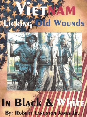 Vietnam, In Black & White: Licking Old Wounds - Robert Langston Jones