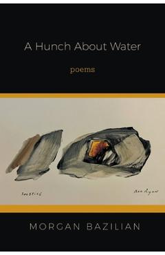 Coperta cărții 'A Hunch About Water - Morgan Bazilian'