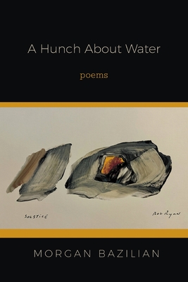 Coperta cărții 'A Hunch About Water - Morgan Bazilian'
