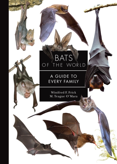 Bats of the World: A Guide to Every Family - Winifred Frick
