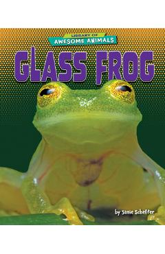 Coperta cărții 'Glass Frog - Janie Scheffer'