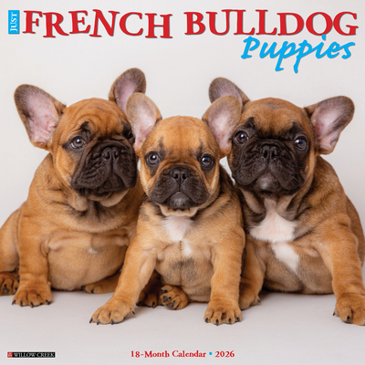 French Bulldog Puppies 2026 12 X 12 Wall Calendar - 