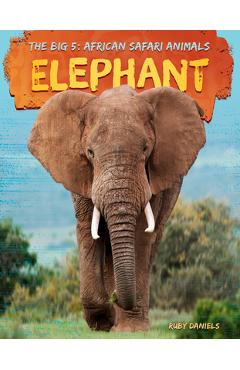 Coperta cărții 'Elephant - Ruby Daniels'