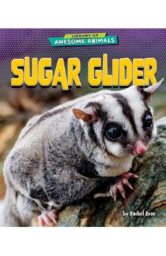 Poza produsului Sugar Glider - Rachel Rose