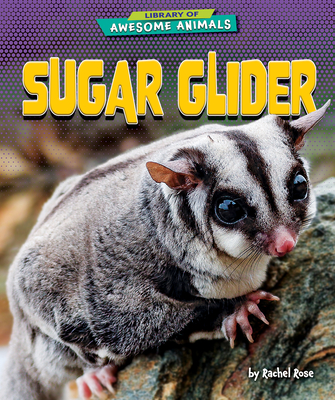 Sugar Glider - Rachel Rose