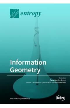 Coperta cărții 'Information Geometry - Geert Verdoolaege'