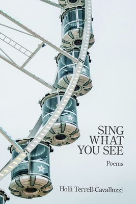Sing What You See - Holli Terrell-cavalluzzi