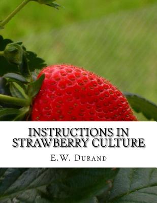 Instructions in Strawberry Culture: or, How To Grow Strawberries - Roger Chambers