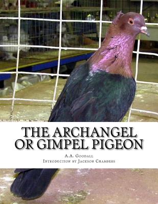 The Archangel or Gimpel Pigeon: Pigeon Breeds Book 8 - Jackson Chambers