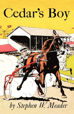 Coperta cărții 'Cedar's Boy - Stephen W. Meader'