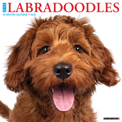 Labradoodles 2026 12 X 12 Wall Calendar - 