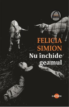 Poza produsului Nu inchide geamul - Felicia Simion