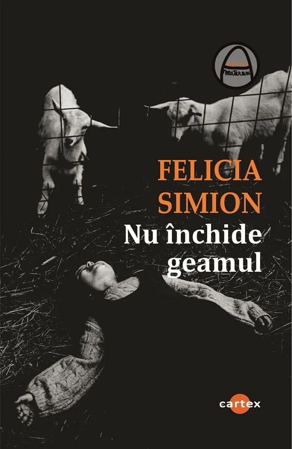 Nu inchide geamul - Felicia Simion