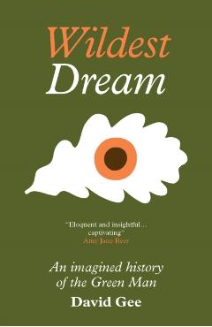 Coperta cărții 'Wildest Dream - David Gee'