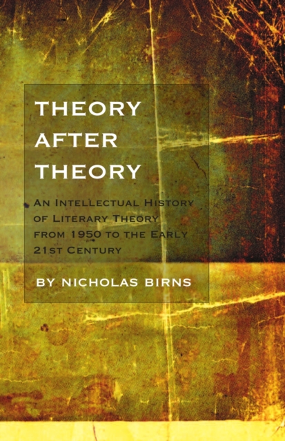 Theory After Theory - Nicholas Birns