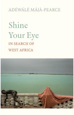 Coperta cărții 'Shine Your Eye - Adewale Maja-pearce'