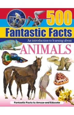 Animals -