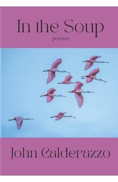 Coperta cărții 'In The Soup - John Calderazzo'