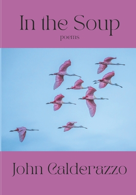 In The Soup - John Calderazzo